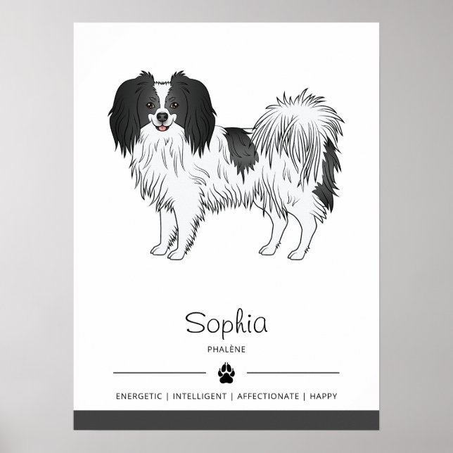 Affiche Chien Phalène Noir Et Blanc Avec Nom Du Chien (Devant)