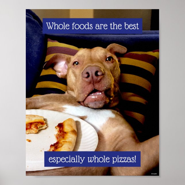 Affiche Chien Plein De Pizza (Devant)