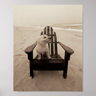 Affiche Chien Profitant de la plage