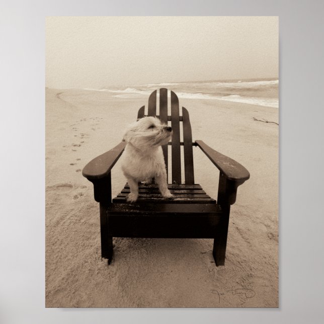 Affiche Chien Profitant de la plage (Devant)