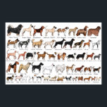 Affiche Chien Purebred se reproduit<br><div class="desc">Chien se reproduit avec des noms en dessous</div>