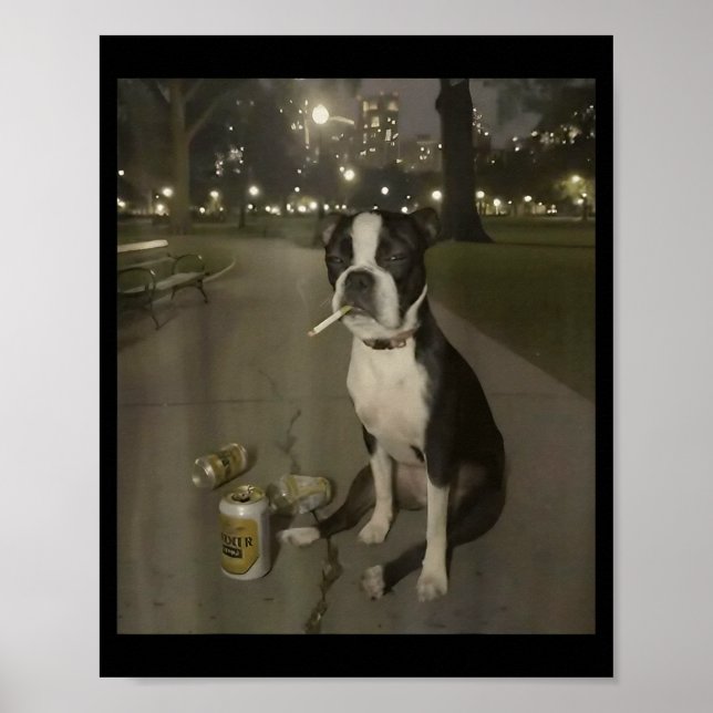 Affiche Chien qui fume drôle Mème Cigarette Mème Chien Gen (Devant)
