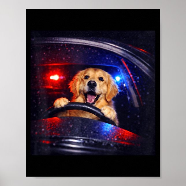 Affiche Chien retriever doré drôle conduisant un mème de c (Devant)