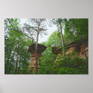 Affiche Chien sautant de Stand Rock dans Wisconsin Dells