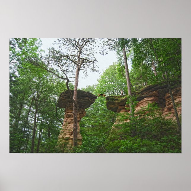 Affiche Chien sautant de Stand Rock dans Wisconsin Dells (Devant)