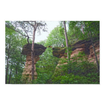 Chien sautant de Stand Rock dans Wisconsin Dells