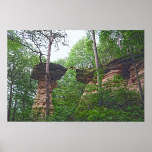 Affiche Chien sautant de Stand Rock dans Wisconsin Dells