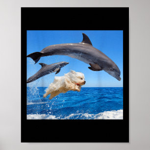 Affiche Chien saute avec dauphin pour hommes femmes