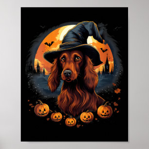 Affiche Chien Setter Irlandais Surnaturel Sorcière Hallowe