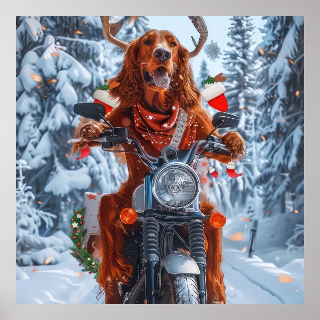 Affiche Chien Setter Rouge Irlandais à Vélo à Noël (Devant)