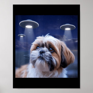 Affiche Chien Shih tzu chien shihtzu alien ufos shitzhu dr