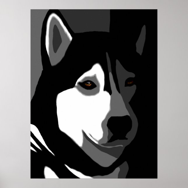 Affiche Chien sibérien Husky 162 (Devant)
