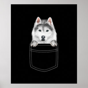 Affiche Chien Sibérien Husky À Poche Drôle cadeau de l'am