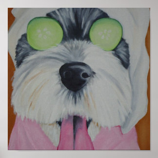 Affiche Chien spa