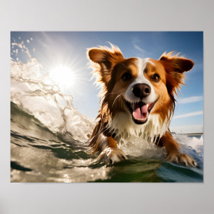 Affiche Chien sur planche de surf
