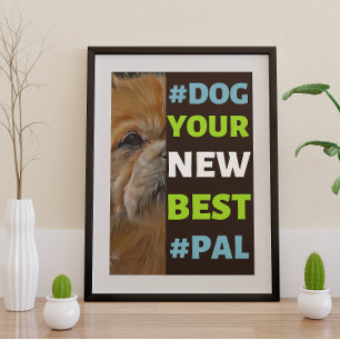 Affiche #Chien, ton nouveau meilleur #Pal ...Espagnol Tibé
