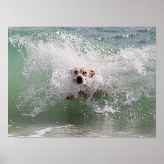 Affiche Chien traversant Ocean Wave, Surf, Plage (Devant)