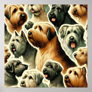 Affiche Chien vintage Briard sans soudure