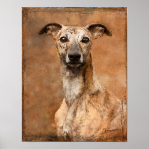 Affiche Chien Whippet Bringé