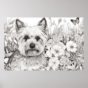 Affiche Chien Yorkshire Terrier Nature paisible Prairie An