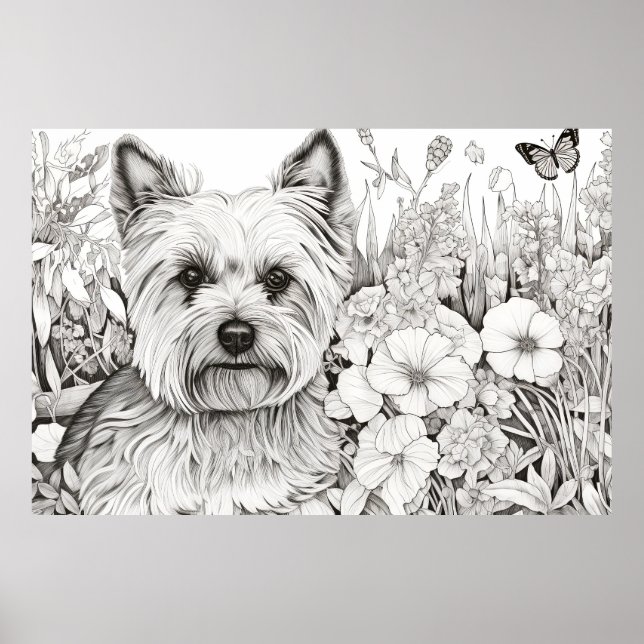 Affiche Chien Yorkshire Terrier Nature paisible Prairie An (Devant)