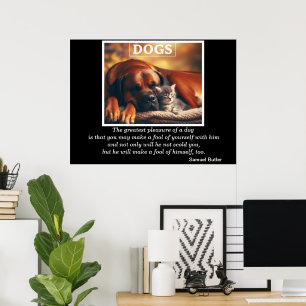 Affiche Chiens Best Friend Kitten Cuddles