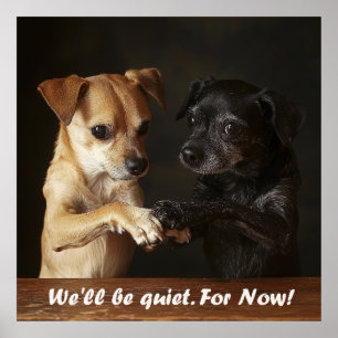 Affiche Chiens Bruyants