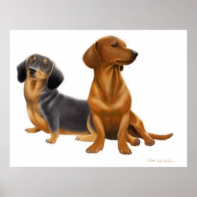 Affiche Chiens Dachshund Wiener Imprimer (Devant)