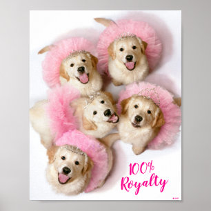 Affiche Chiens de Tiaras