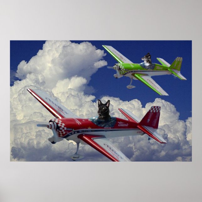 Affiche Chiens de vol 4 (Devant)