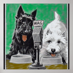 Affiche Chiens écossais Blackie et Whitie à la radio