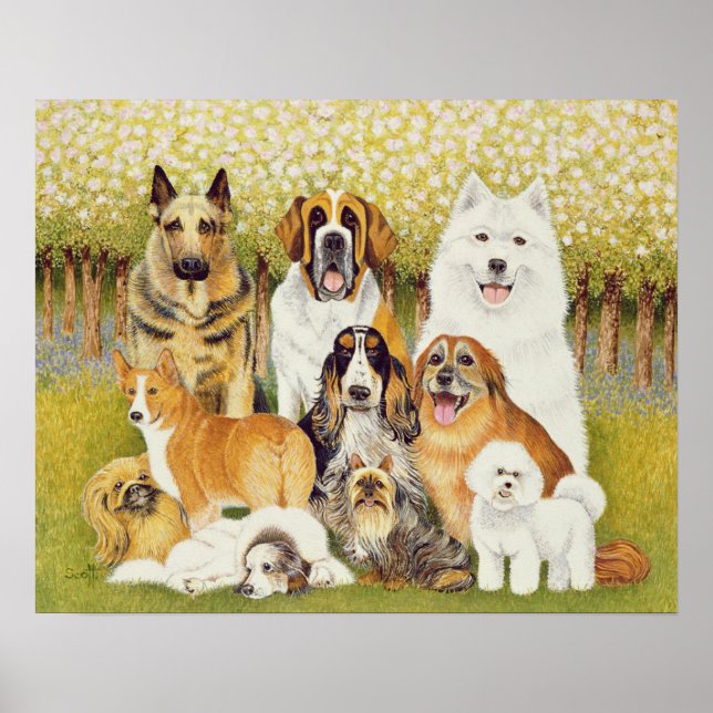 Affiche Chiens en mai (Devant)