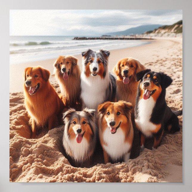 Affiche chiens jouant sur la plage en été (Devant)