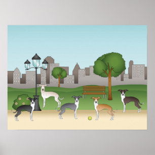 Affiche Chiens levrettes italiens mignons dans un parc - i
