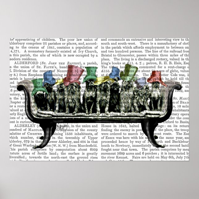 Affiche Chiens sur Sofa (Devant)