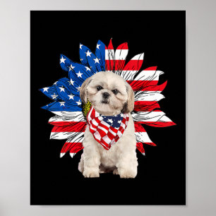 Affiche Chih Tzu Drapeau Américain Tournesol Amoureux de l