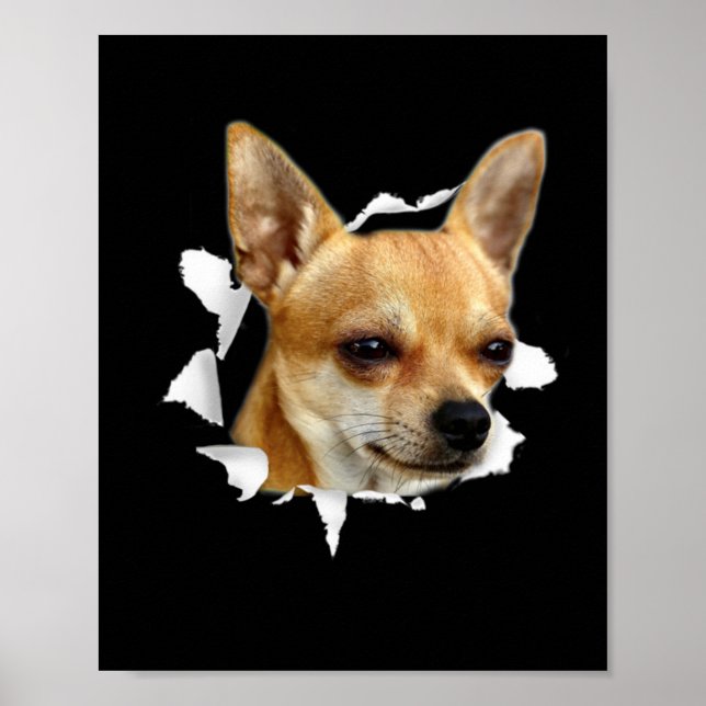 Affiche Chihuahua (Devant)