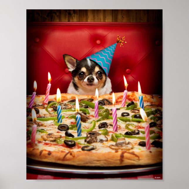 Affiche Chihuahua Anniversaire Pizza Pie (Devant)