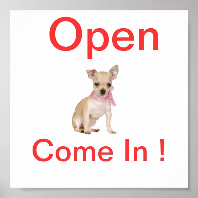 Affiche Chihuahua Chien Open Sign (Devant)
