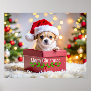 Affiche Chihuahua chiot chien de Noël