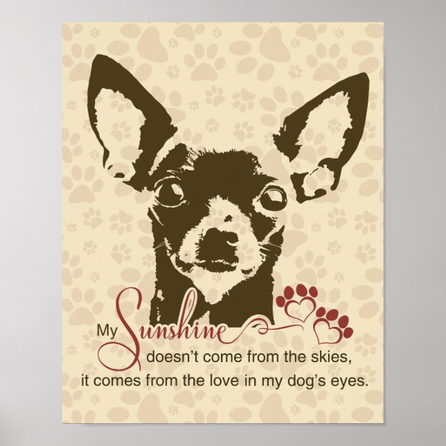 Affiche Chihuahua Dog My Sunshine (Devant)