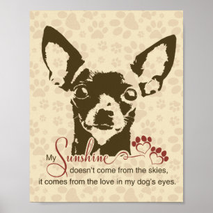 Affiche Chihuahua Dog My Sunshine