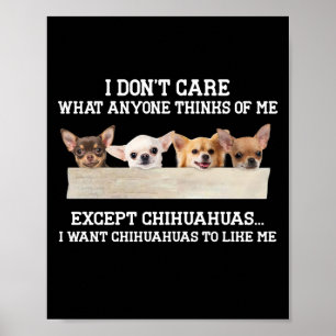 Affiche Chihuahua Je me fiche de ce que quiconque pense de