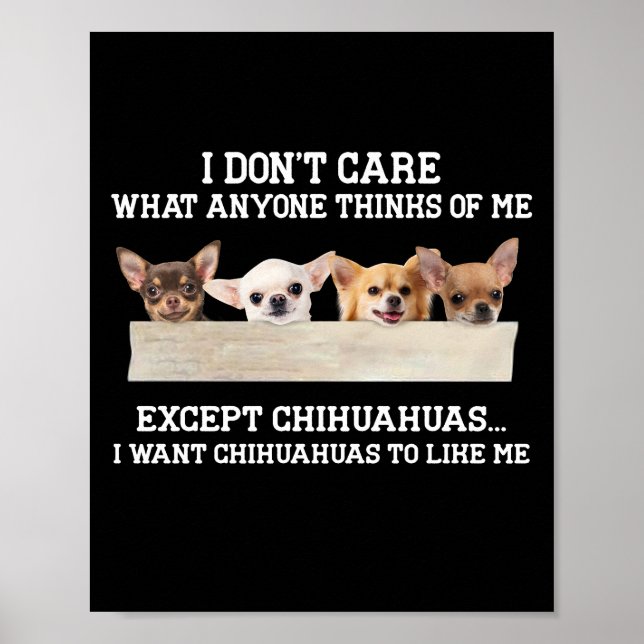 Affiche Chihuahua Je me fiche de ce que quiconque pense de (Devant)