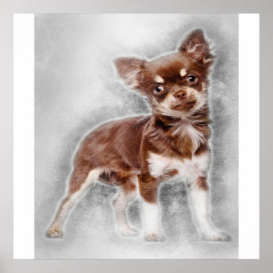 Affiche Chihuahua looking at camer_dog lover