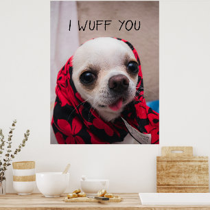 Affiche Chihuahua mignon Je t'aime amour Saint-Valentin