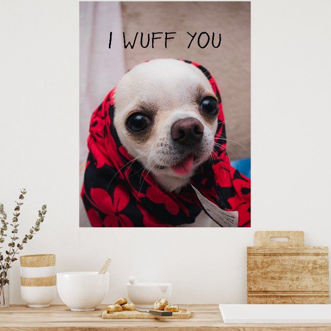 Affiche Chihuahua mignon Je t'aime amour Saint-Valentin (Cuisine)