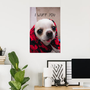 Affiche Chihuahua mignon je t'aime amour Saint-Valentin