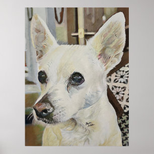 Affiche Chihuahua Rat Terrier
