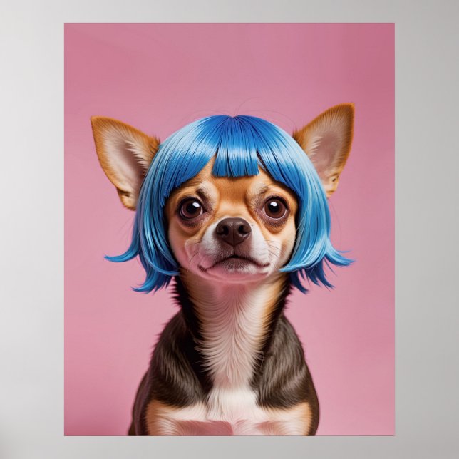 Affiche Chihuahua wig (Devant)